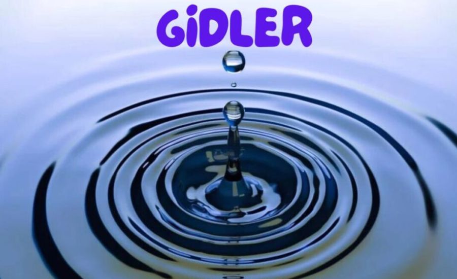 Health Concerns Associated with Gidler Consumption