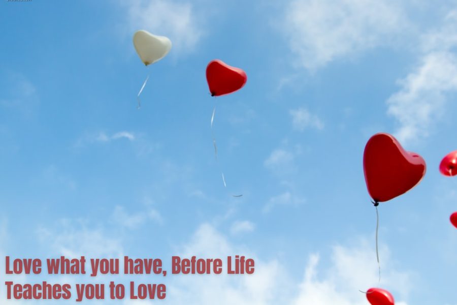 Love What You Have, Before Life Teaches You To Lov – Tymoff